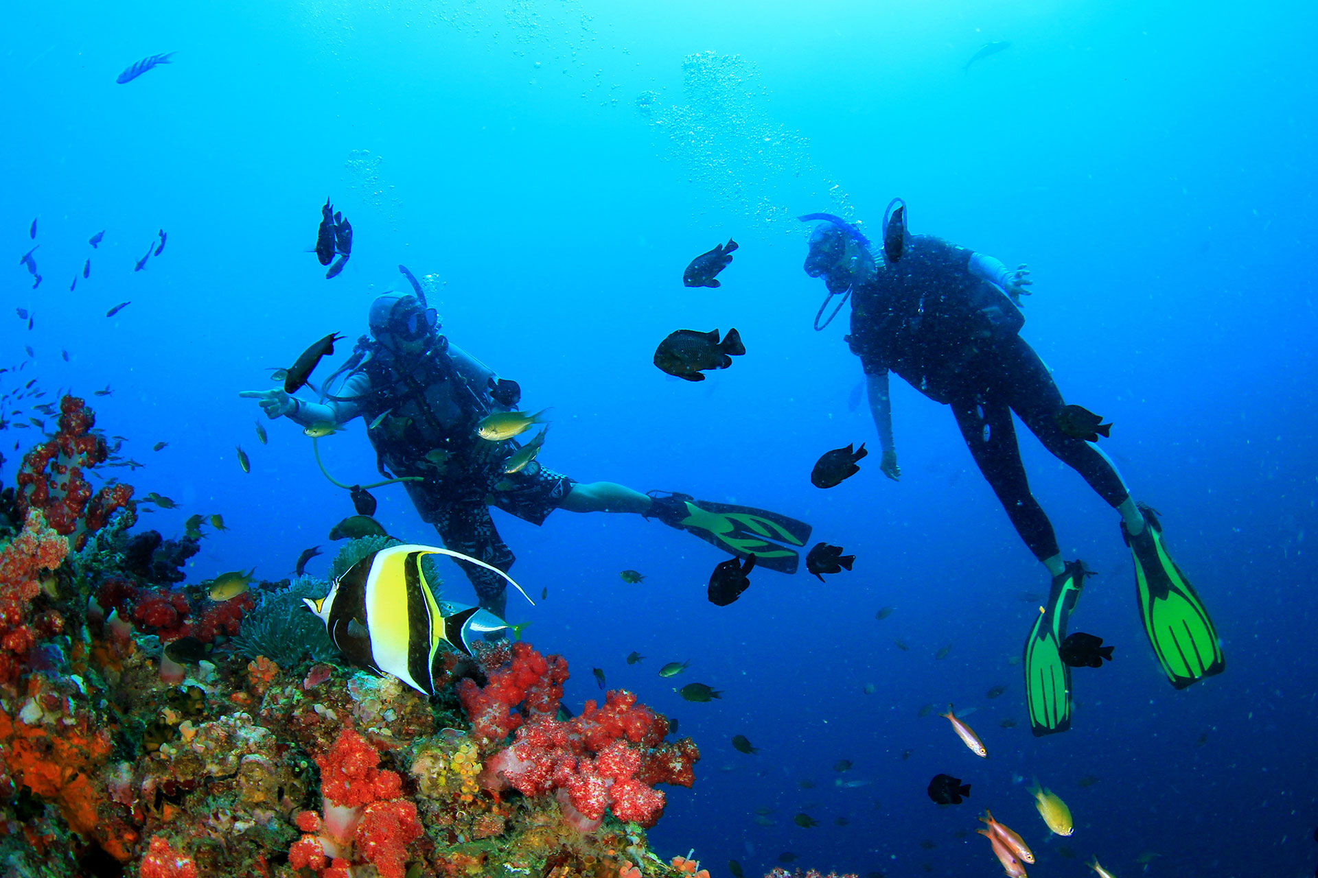 Ultimate Philippines Diving Guide Tripfuser Travel Blog - 